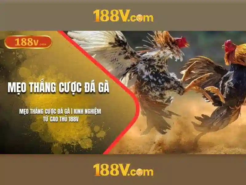 Khám phá 188v: một khái niệm liên ngành cho tương lai số