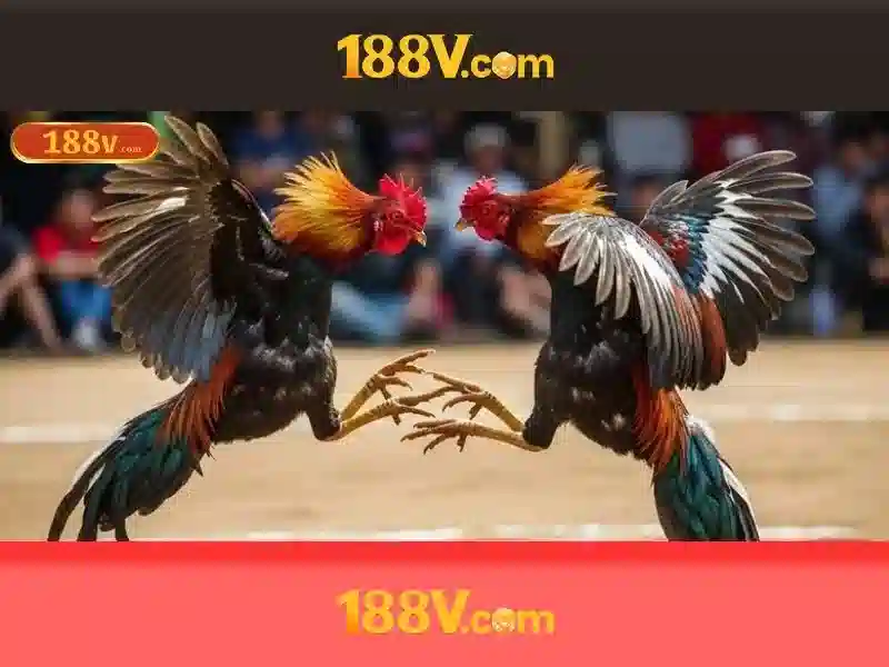 Khám phá 188v: ky niem cua do phan giai cao cho video