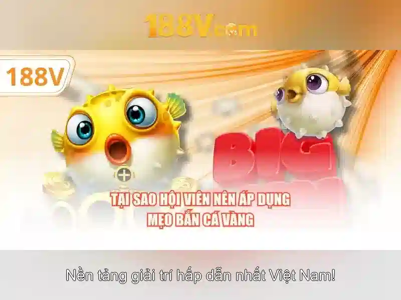 188v .com – Định vị thương hiệu và trải nghiệm 188v .com