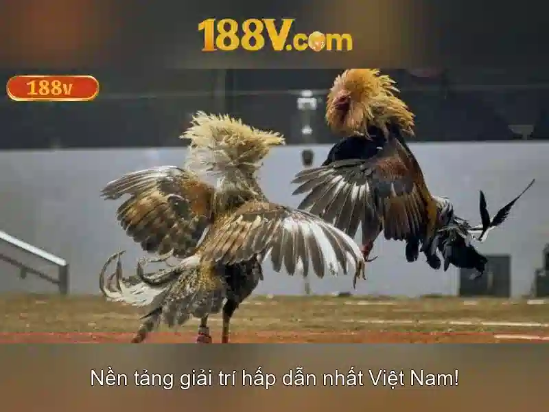 Khái niệm 188v và ứng dụng trong công nghệ hiện đại