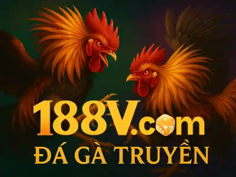 188v – Hành trình đổi mới và trải nghiệm 188v vượt trội